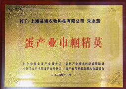 蛋产业巾帼精英